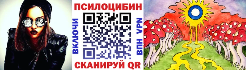 купить наркотик Моздок Псилоцибиновые грибы прущие грибы