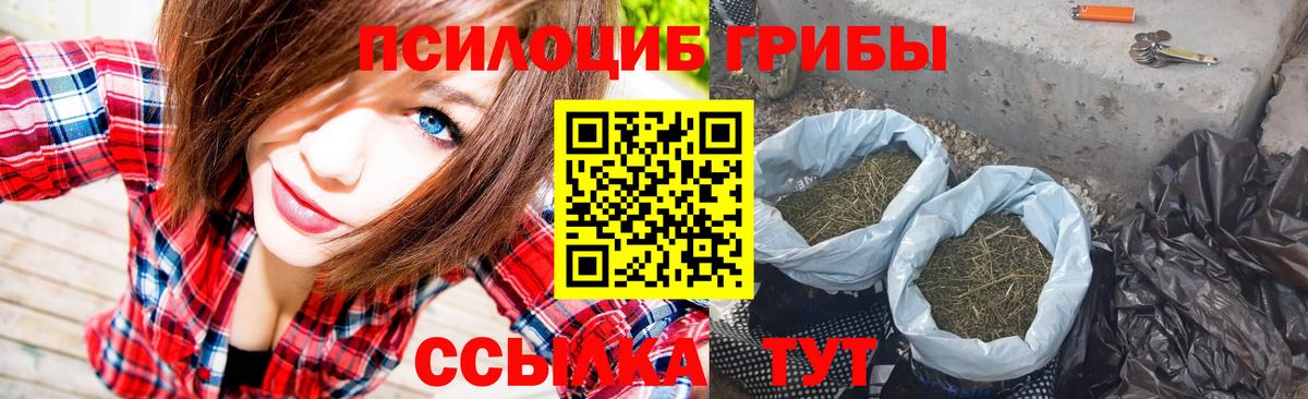 Галлюциногенные грибы Magic Shrooms  купить наркотики сайты  Моздок  Вход с VPN 
