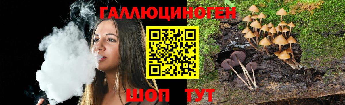 Галлюциногенные грибы мицелий Моздок
